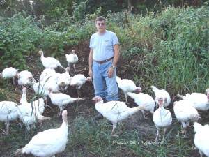 DSC03999sgnd Cwf Turkeys and Mark 1000x1333