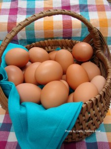 DSC05116sgnd 800x1067