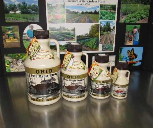 IMG_2401 CWF maple 500x417