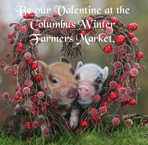 CWFM Valentine pigs in a heart