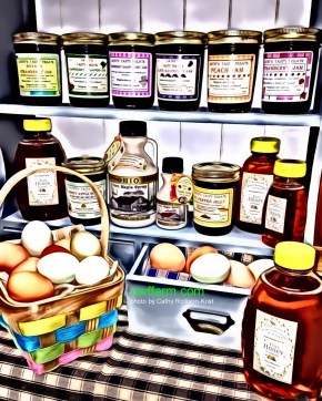 2995ATUC cwffarmsgnd- pantryfare illustration.JPG-final