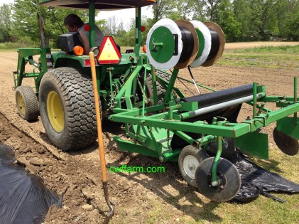 IMG_4952cwffarm lining her up