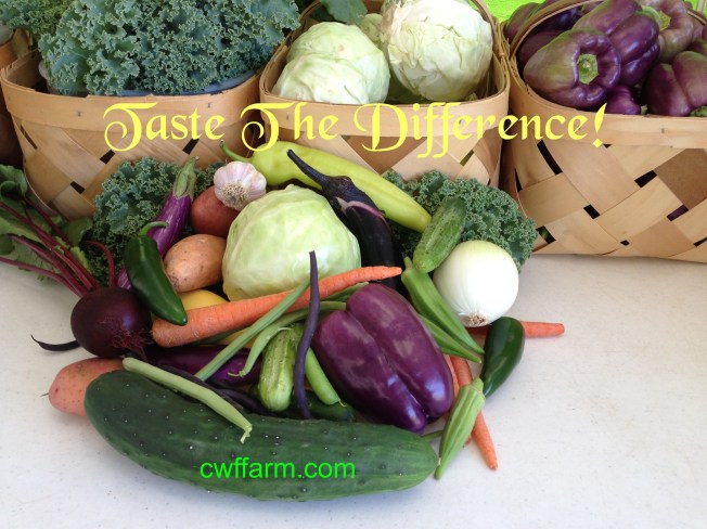 IMG_3678cwffarm vegetable medleytaste difference