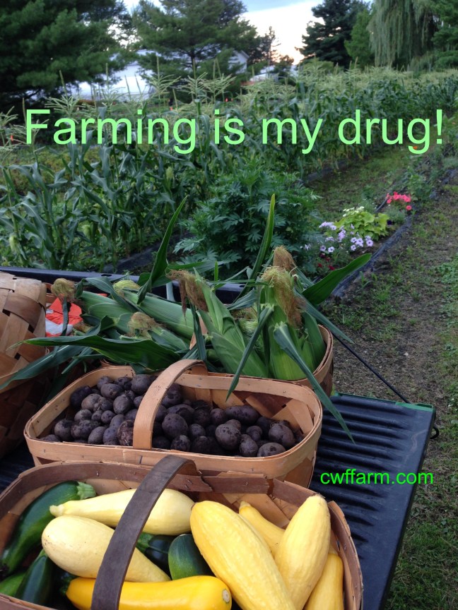 IMG_8187cwffarm Farming is my drug