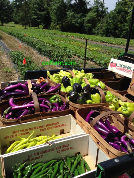 IMG_9590cwffarm summer harvest