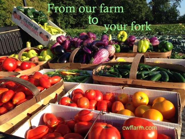 IMG_0608cwffarm farm to fork