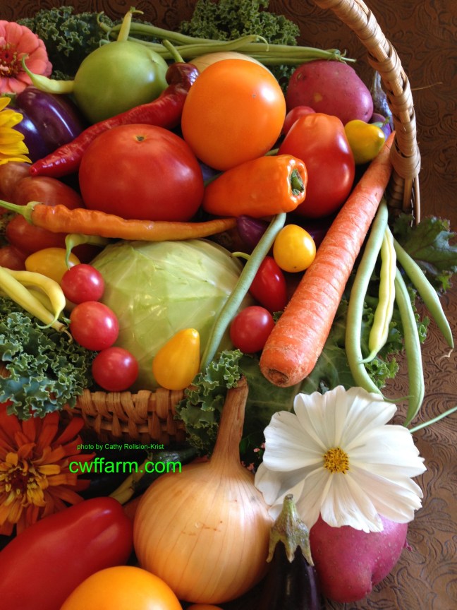 img_0911sgnd-cwffarm-basket-of-vegetables-white-cosmos.jpg