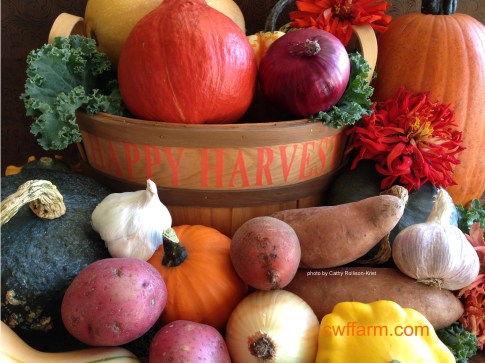IMG_2834sgnd cwffarm fall produce