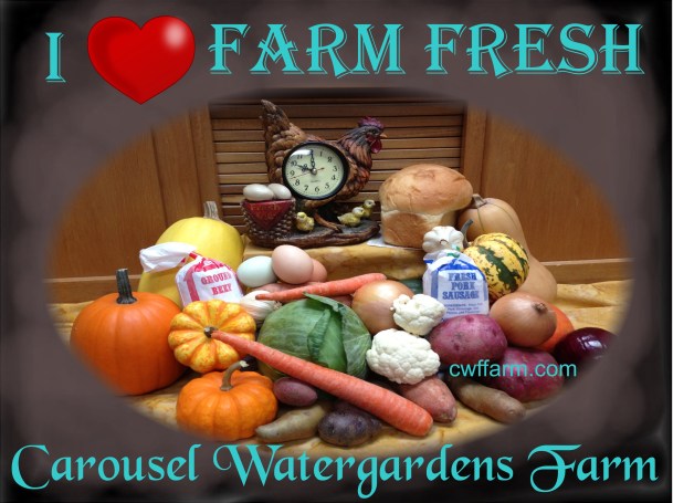 IMG_1740ovalsftd cwffarm i luv farm fresh grey suede bkg