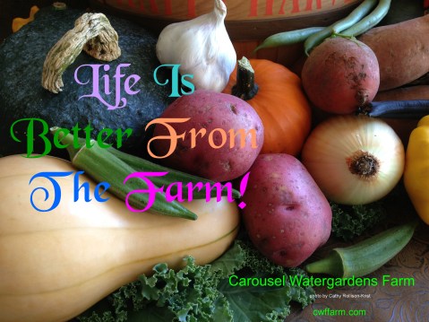 IMG_2880CWFFarm Life is better from the farm1