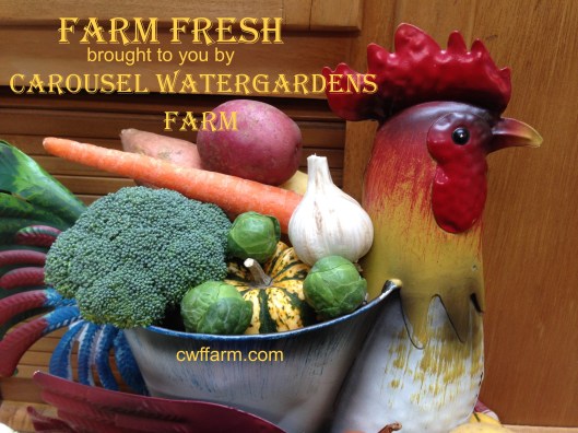 IMG_6460cwffarm farm fresh