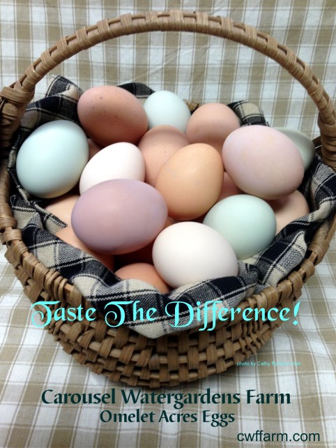 IMG_7609sgnd CWFFarm Taste the difference omelet acres