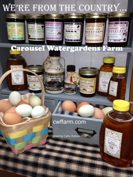 IMG_2995-D cwffarm pantryfare eggs &amp; shelves were from the country