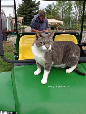 IMG_5447sgnd charlie scoping out the days agenda