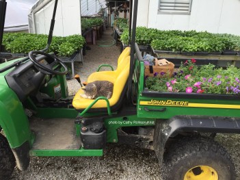 IMG_8576sgnd Charlie waiting to plant flowers