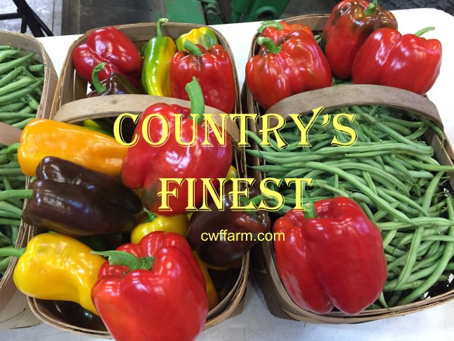 IMG_9428cwffarm countrys finest bell pep & beans