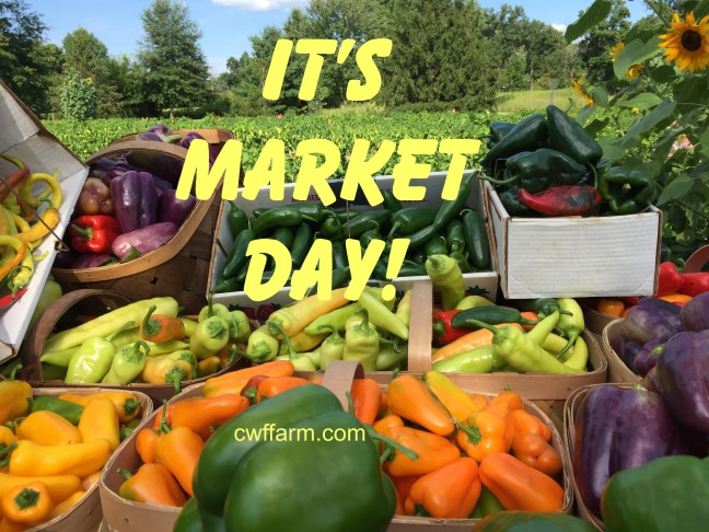 IMG_9495cwffarm Market day