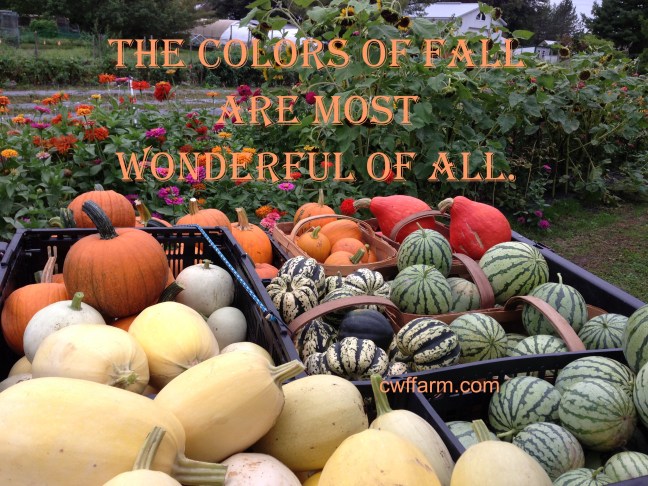 IMG_7654cwffarm colors of fall