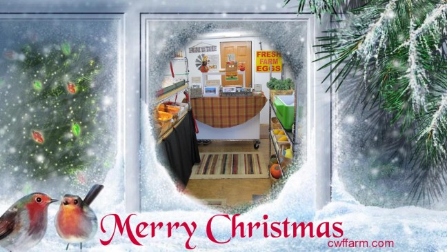 cwffarm xmas window view of farm store