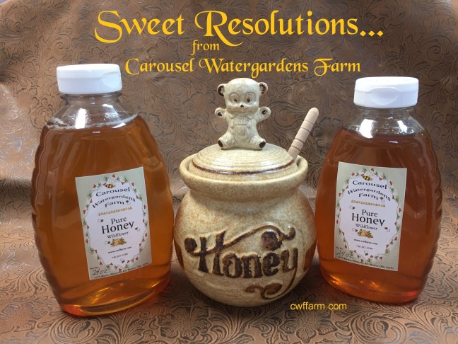 img_3206cwffarm sweet resolutions honey