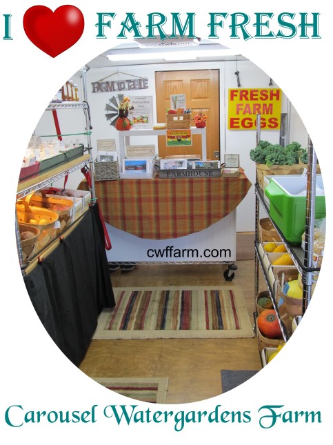 IMG_2350 oval cwffarm i luv farm fresh country store verticle
