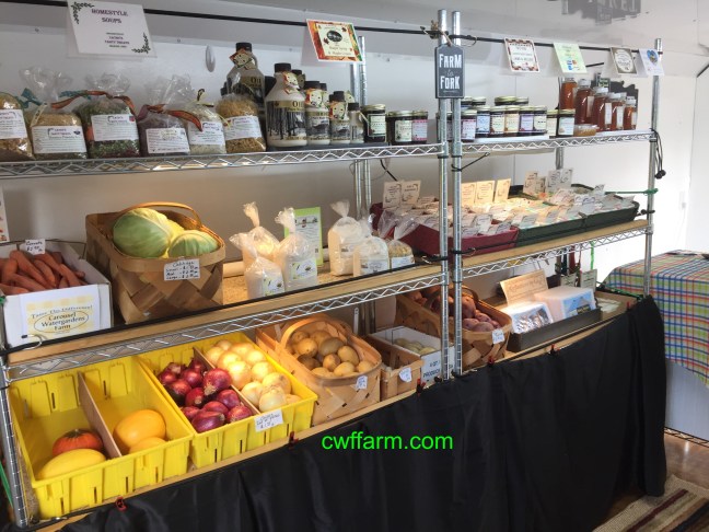 IMG_4971cwffarm shelves of vegs and pantry fare