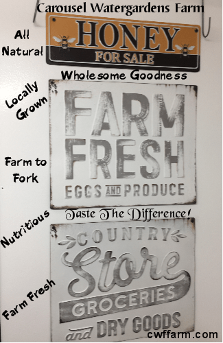 IMG_4986cwffarm country signs