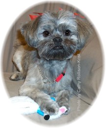 08409sftnd Gracie new hairdew Nov 2005 sgnd