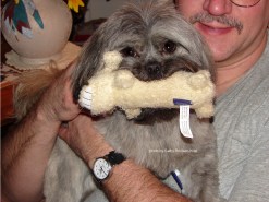 DSC00377sgnd gracie &amp; mark