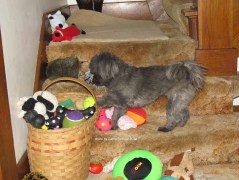 IMG_0313sgnd Gracie Jan 23 2011 7 yr old