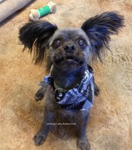 IMG_9360C sgnd Gracie