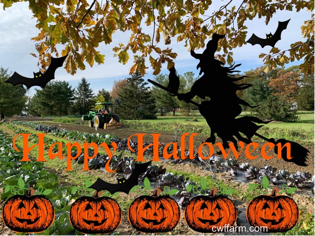 IMG_0346cwffarm Happy Halloween