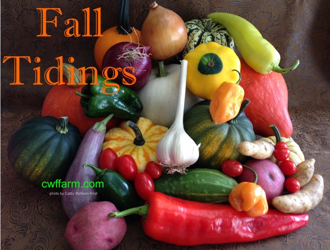 IMG_7765sgnd cwffarm summer fall tidings vegs