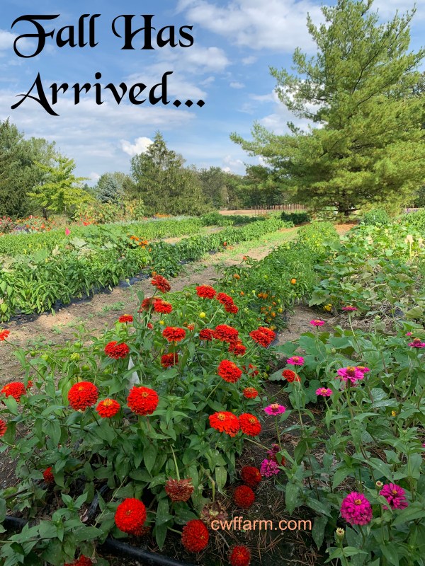 IMG_9368cwffarm Falls has arrived