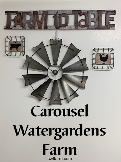 IMG_0652cwffarm farm to table