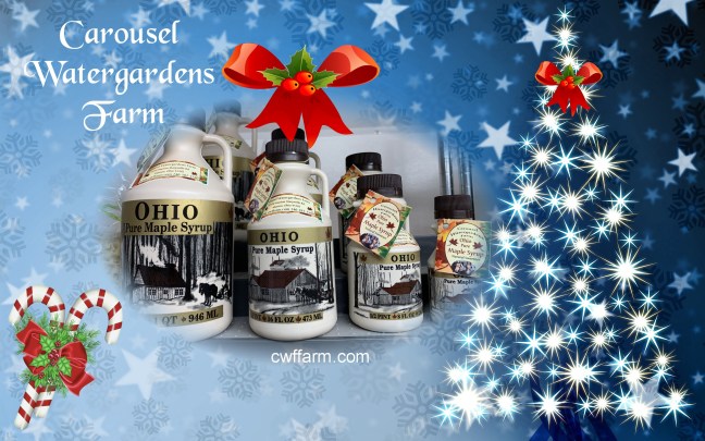 cwffarm maple syrup on blue xmas bgd