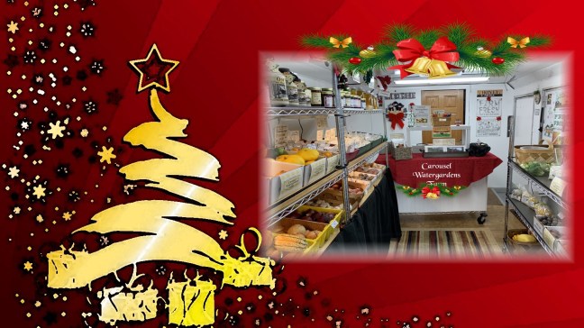 Mkt trailer on gold modern xmas treer