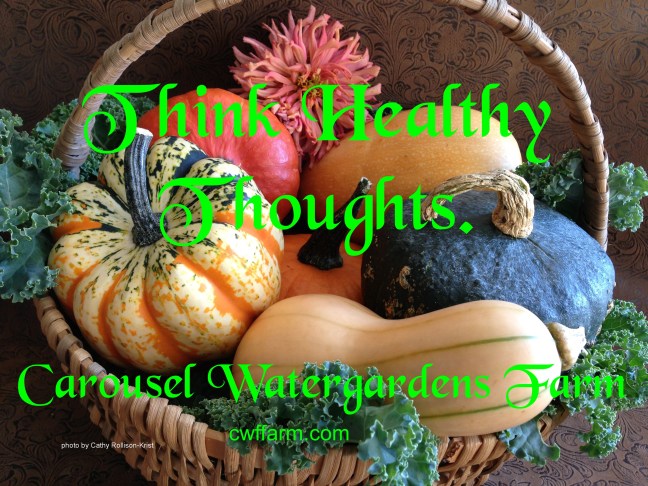 IMG_2828sgnd cwffarm think healthy thoughts