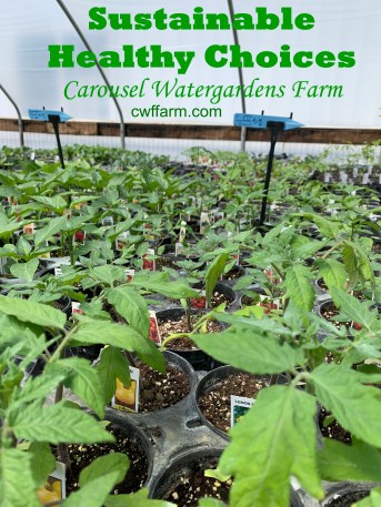 IMG_3667cwffarm Sustainable Healthy choices