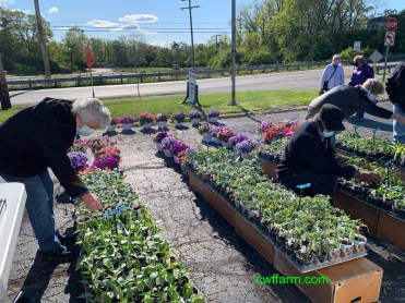 IMG_3928cwffarm plants &amp; shoppers