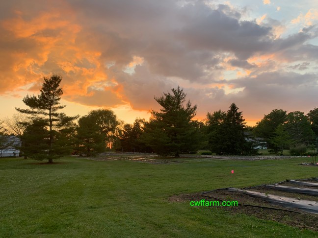 IMG_2723cwffarm June sunset over farm
