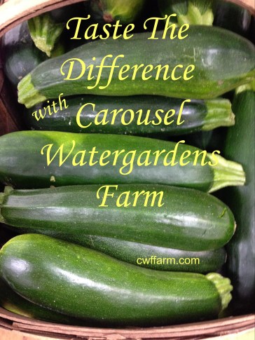 IMG_8301cwffarm zucchini Taste the difference