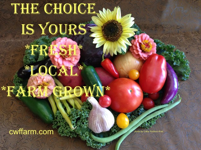 IMG_0950sgnd cwffarm choice is yours